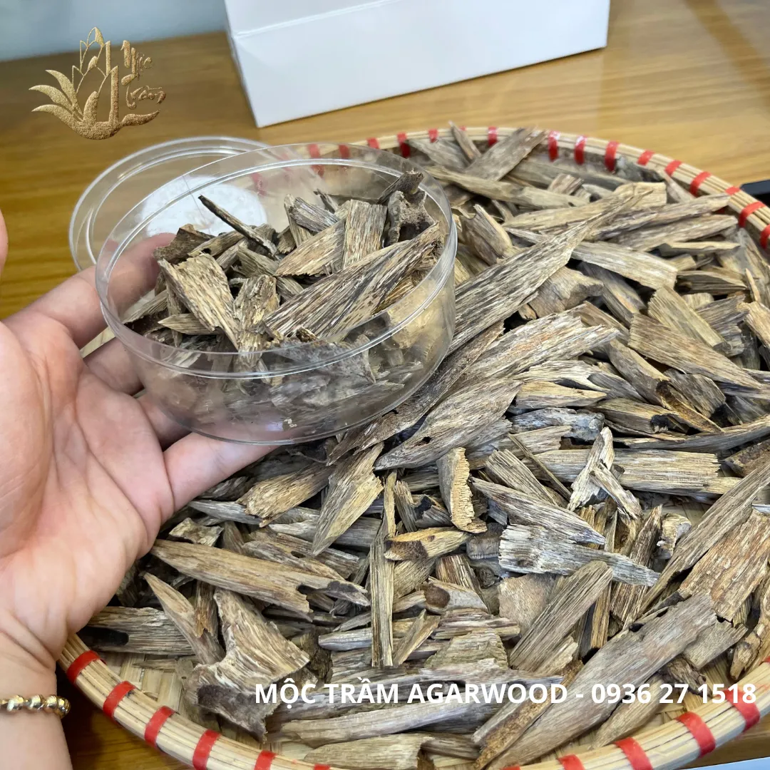 High-Oil Agarwood Chips – “Kien Toc” Vietnamese Wild Oud (Limited Collection | Multi-Weight Options)